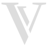 Viktor Visuals logo